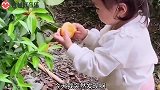 爆笑：吃货果然都是遗传的，哎呀，真相了