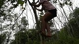 美女拿鱼上山，野人悄悄拿去烤了，美女直接负责吃烤鱼！