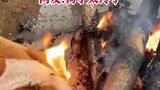 河南洛阳：狗子太冷！柯基烤火取暖毛被烧着