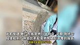 广州超40只宠物狗疑遭投毒死亡，投毒女子疑被网友抓到：它们吵我睡觉