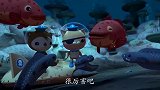 海底小纵队第四季：不可思议，石斑鱼和海鱔是怎样合作的
