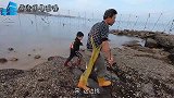 来叔带孙子赶海抓好货，满地的海货，好运连连