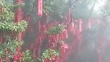 天门山许愿林一个非常灵验的地方