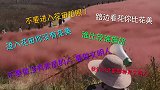 为提醒游客文明观花，景区大妈“”拼了！手拿喇叭喊话金句频出