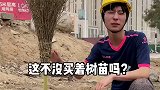 正常人植树vs熊登辉植树（离谱版）熊登辉的大学生活