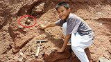 广东小学生游玩意外发现恐龙蛋：距今约有6500万年