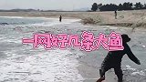 海边撒网，一网都是大鱼！