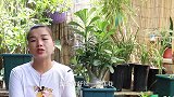 高温养沙漠玫瑰，多做一件事，小虫绕道走