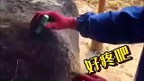 给老牛治疗胀气