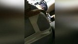爆新鲜-20161016-实拍滴滴司机与两女乘客起冲突 怒而大骂将其赶下