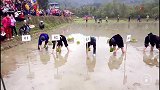 中国人在越南，实拍越南农村女人插秧竞赛，越南女人真能干！