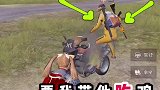 我家网线被狗咬断了