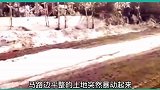 拍到神奇现象