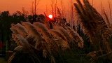 失去的时间，失去的人，最终都会定格在夕阳中成为故事