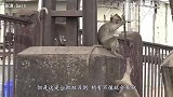 猴子不慎触电，将其埋进沙子里便能“复活”，这有科学依据吗？