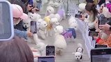 狗狗们幼儿园放学的场景，真的不会带错吗哈哈哈哈