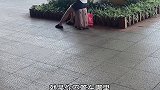缘分这玩意儿太奇妙了。vlog日常 一定要看到最后