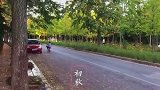 你在春华秋实夏蝉冬雪你不在春夏秋冬