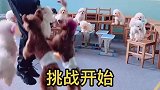 我是小可爱，上台来表演