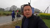 这批对节白蜡树苗大家觉得发快递好还是货运划算呢？