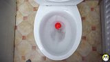 趣味游戏：牛人闲着没事干，在厕所里玩彩色球