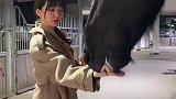 过年啦，我跟飓风祝大家新年快乐2021新春日记大年三十