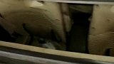 汽车高速行驶时开天窗比开空调更省油。