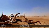 世界上最残酷的旅行地之一，非洲大自然的鬼斧神工，达纳吉尔凹地