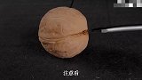 其貌不扬核桃，竟被小伙变废为宝！做出的成品价值连城太惊艳了