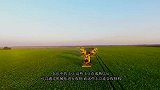 为什么土豆要经过精选机装车？