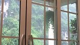 看书还是看风景呢？