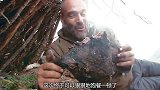 荒野：德爷捡到一头老母羊，看来这次又不用挨饿了