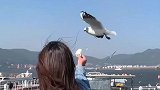 不吃就不吃呗，咋还停下来嘲讽呢