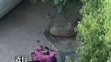 妈妈骑行16公里送菜，“妈妈一来感觉自己就变回了孩子”
