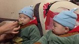 老婆蒸了个苹果分2份，喂9个月双胞胎兄弟吃，各种表情萌翻全场