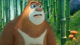 熊出没·原始时代：熊大被一群的熊猫嘲笑了，挡着路不让熊大过去