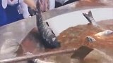 这么大的锅炖鱼，竟还有这操作，跟我在河里吃有什么区别