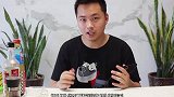 慢炖2小时，花25元做一盘狮子头之步步高升，软糯滑口超好吃！