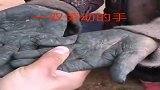 这一双手，不是洗不干净，而是长期劳动留下的痕迹，伟大而光荣