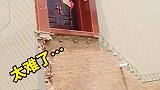 大门建的那么高，这回后悔了吧