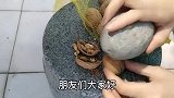 核桃壳扔掉太可惜了，比核桃还珍贵，看完涨知识了