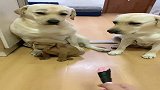 犯错误还不让说