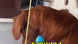 旦旦：这世上已经没有你爱的人了吗