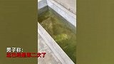 男子家中后院鱼池总被偷鱼，装监控见邻居身影气炸：她知道有监控
