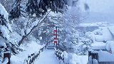 他朝若是同淋雪,此生也算共白头。