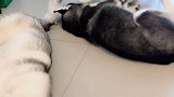 不许动！
