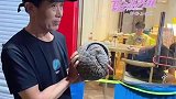 外卖大伯工作途中发现穿山甲