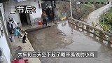 “原来年兽是自己”，监控记录下过年的聚散：像做了一场热闹的梦