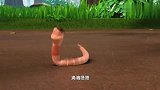 萌鸡小队：蚯蚓叔叔带小鸡了解下雨的快乐，最后不舍得雨停