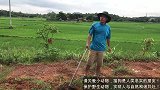 农村种地小哥，解救被遗弃在盒子里的小狗！
